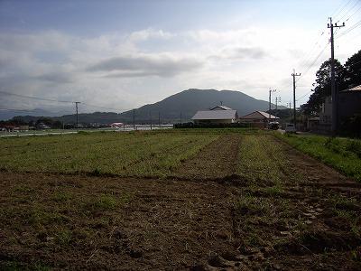Local land photo.  ☆ From local east ☆ 