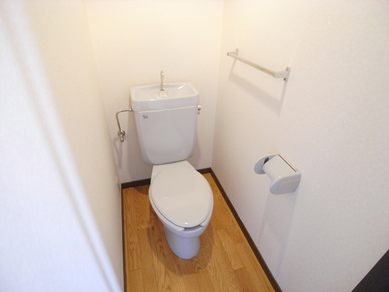Toilet. A clean toilet is also popular for women