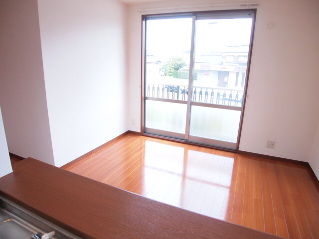 Living and room. It overlooks the living room from the kitchen. 