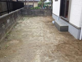 Garden. Local (11 May 2013) Shooting