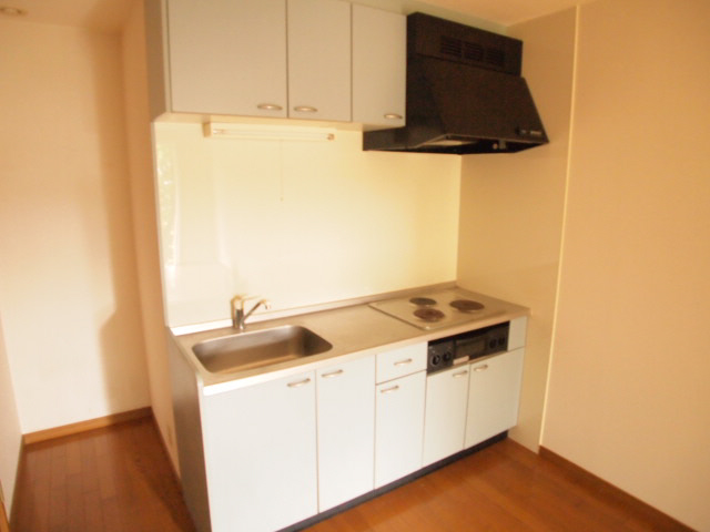 Kitchen. The kitchen is the storage space up and down, There will. 