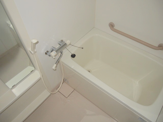 Bath. The bath is equipped with a mirror and a handrail with a space. 