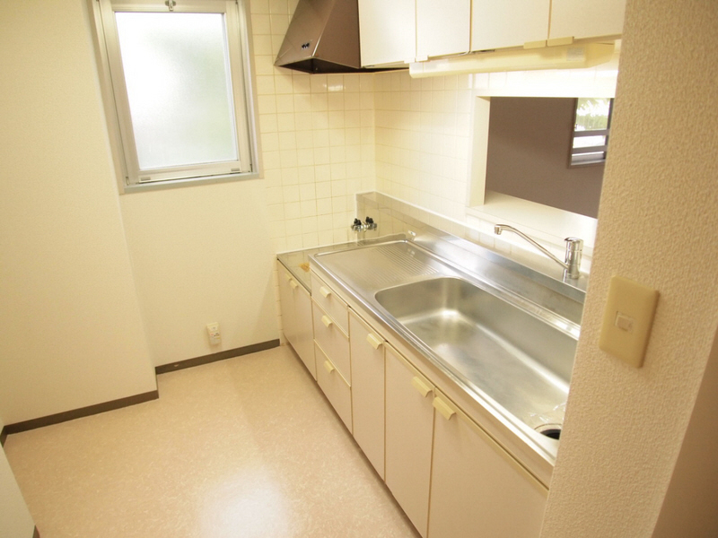 Kitchen. The size of the kitchen is a condominium-class. 