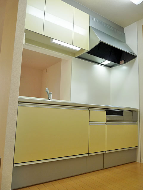 Kitchen. System kitchen (IH stove)