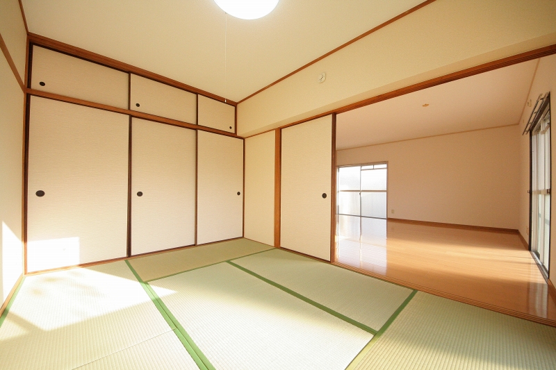 Living and room. tatami bright