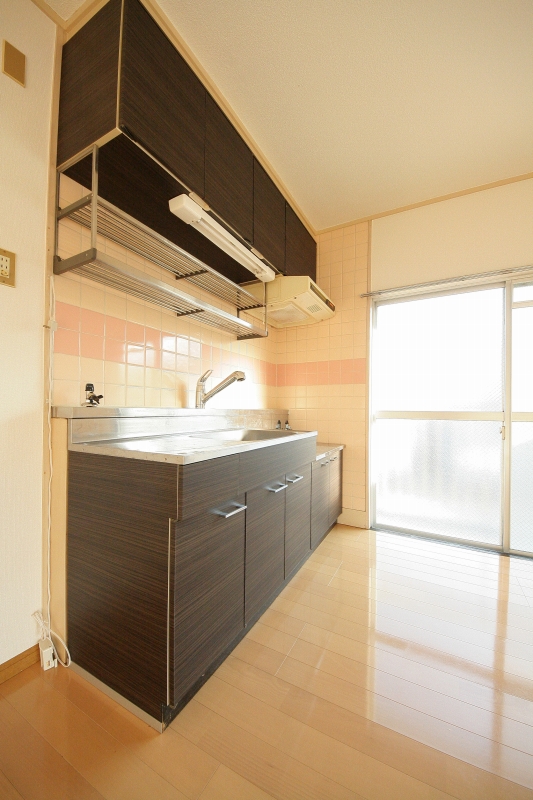 Kitchen. Stylish dark kitchen