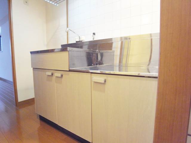 Kitchen. Type of kitchen two-burner gas stove can be installed