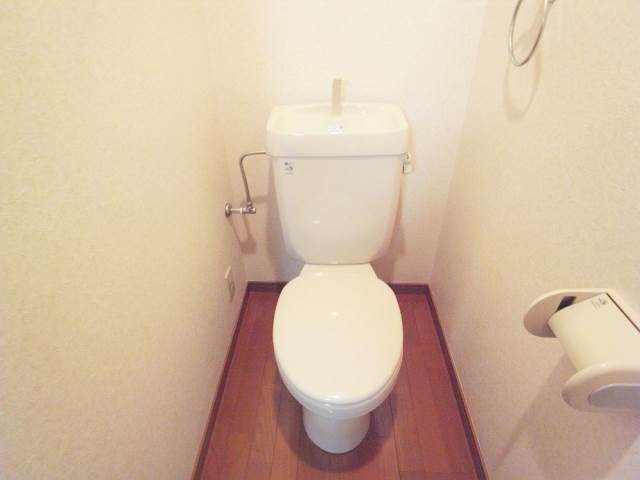 Toilet. Toilet with cleanliness