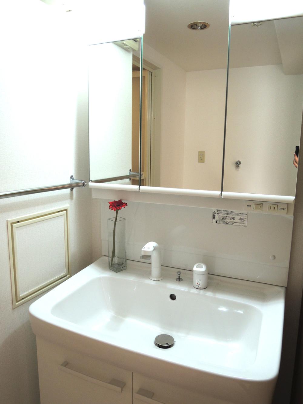 Wash basin, toilet. Vanity of hand shower type