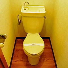 Toilet. Toilet