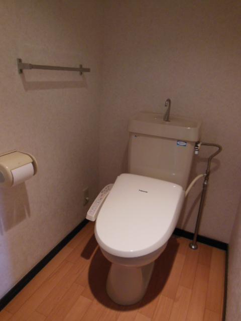 Toilet. Indoor (213 December) shooting toilet
