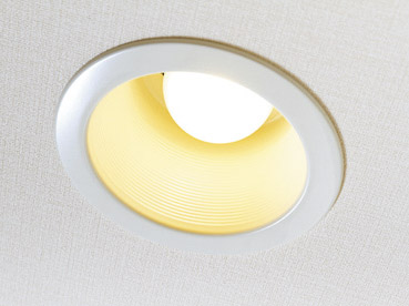 Other.  [Adopted LED lighting] Adopt a low power consumption LED lighting with long life to some of the common areas and in the dwelling unit.