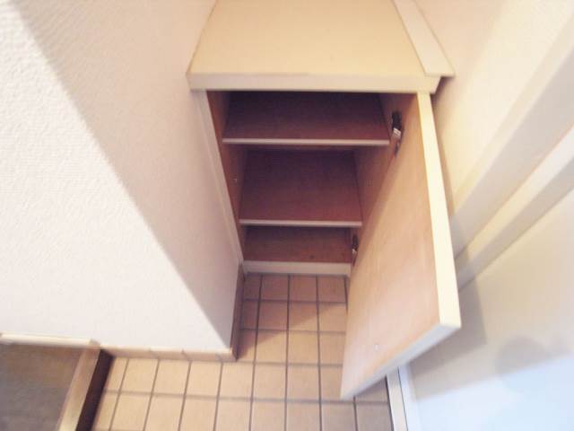 Entrance. Little compact shoes BOX (* ^ _ ^ *)