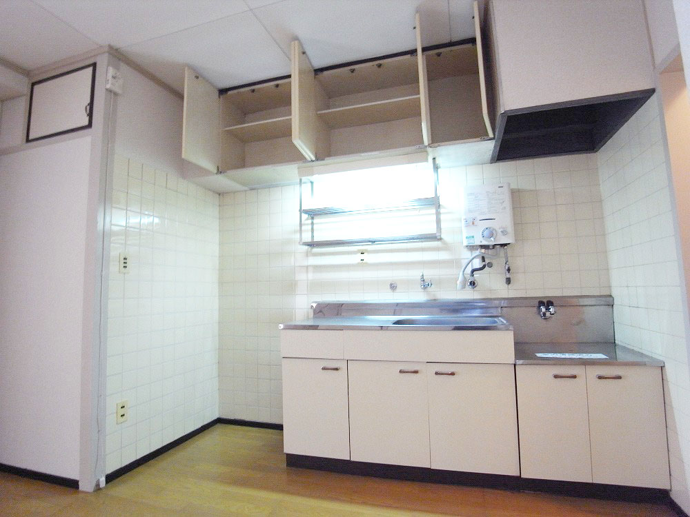 Kitchen. Two-burner gas stove installed Friendly family correspondence kitchen