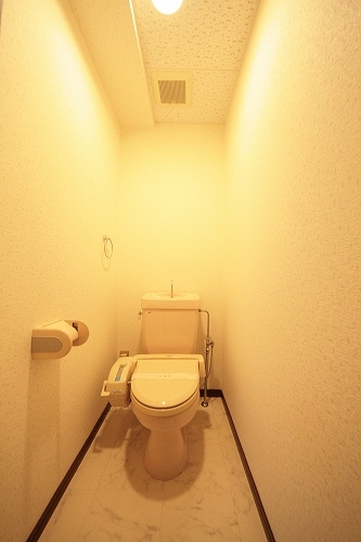 Toilet. Toilet