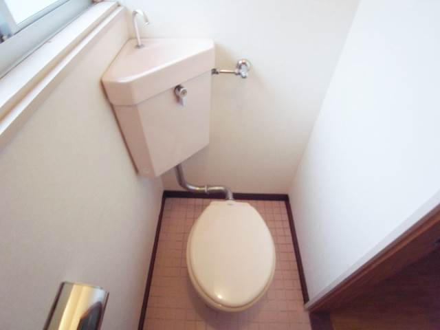 Toilet. Toilets are firmly Western-style type