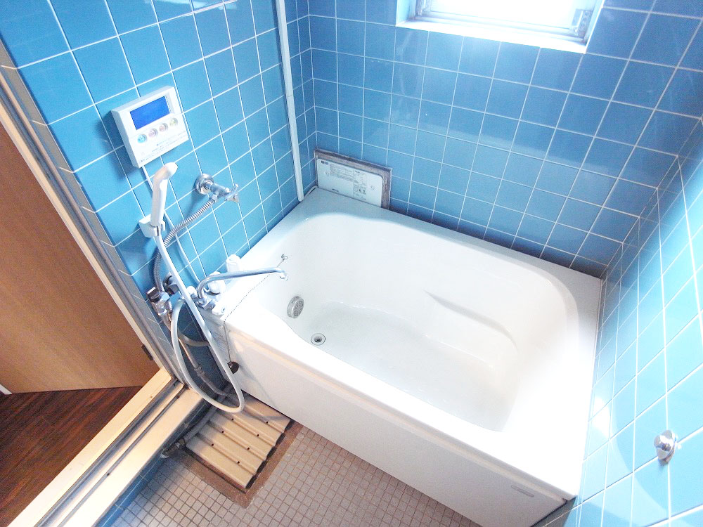 Bath. Hot water supply and shower tub new
