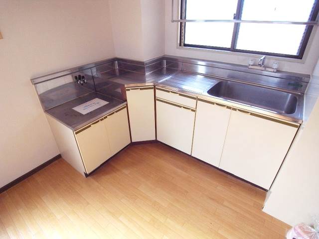 Kitchen. L-shaped type of spacious and bright kitchen