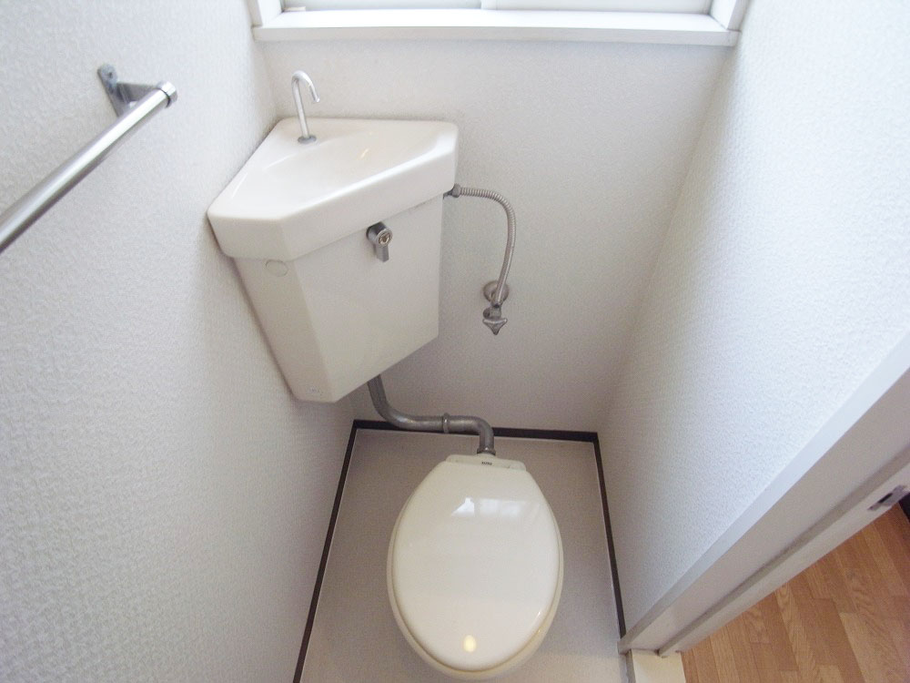 Toilet. With window