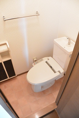 Toilet. Toilet with hot washing machine