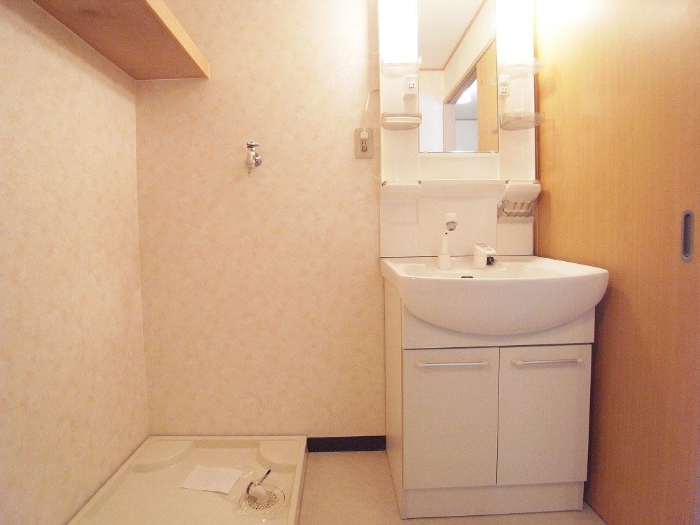 Washroom. Shampoo dresser