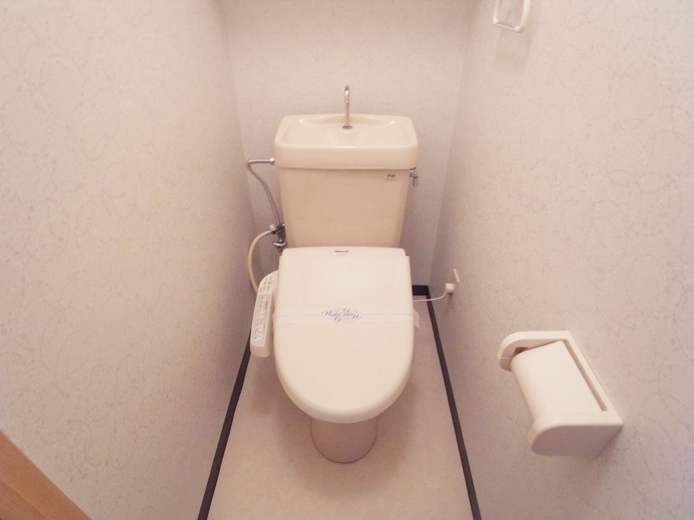 Toilet. Bidet