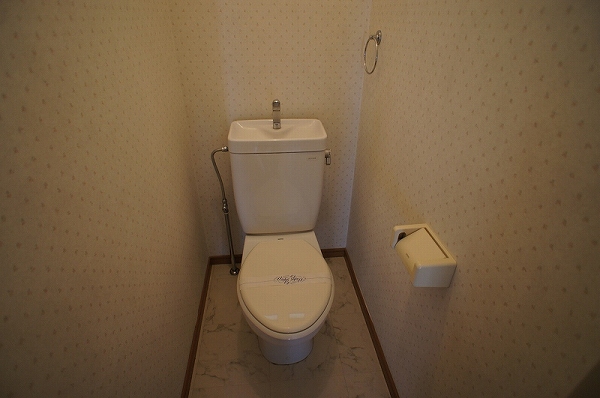 Other. Toilet