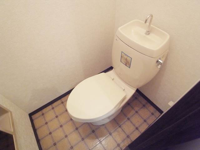 Toilet. Western-style type of toilet with cleanliness