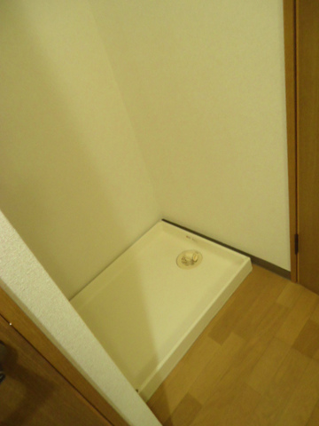 Other room space. It is with in-room washing machine storage