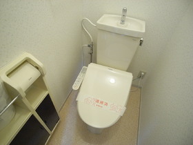 Toilet. Warm water washing toilet seat newly established
