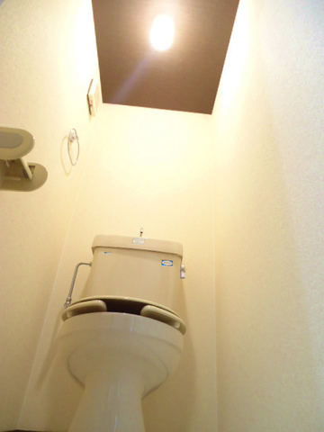 Other room space. Western-style toilet