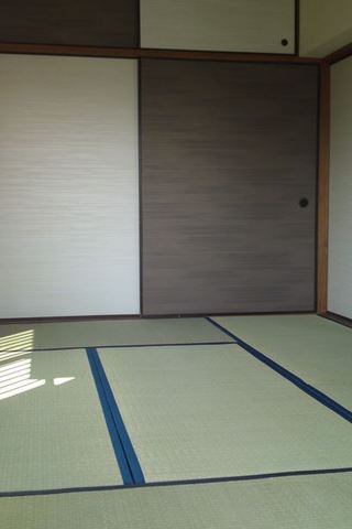 Living and room. Clean Tatamishiki