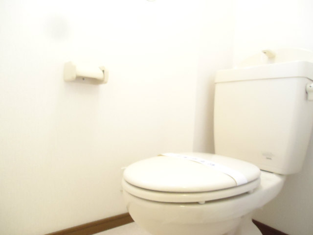 Other room space. It is a flush toilet