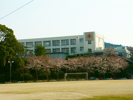 Primary school. Man in power until the elementary school (elementary school) 750m