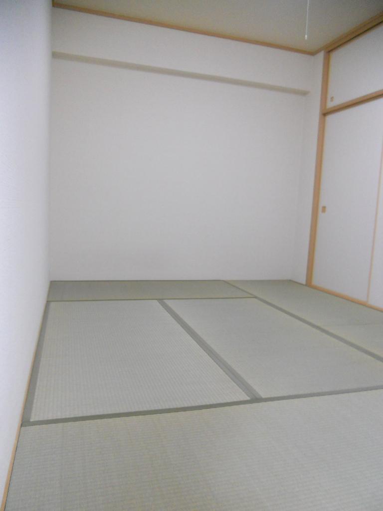 Non-living room. Calm still tatami ~