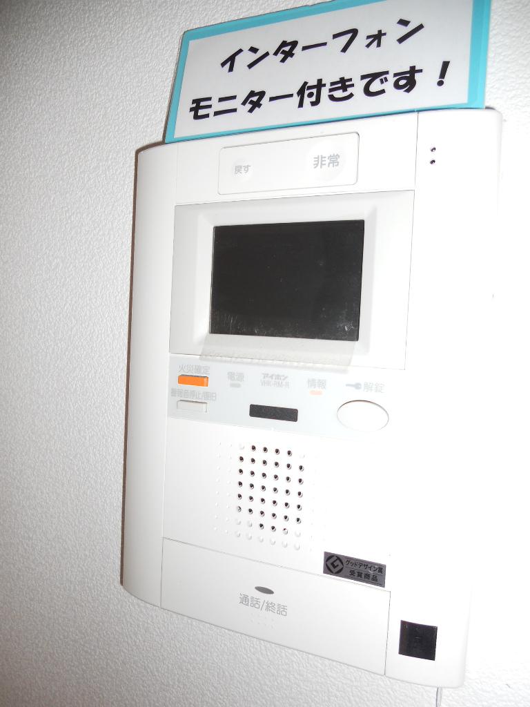 Other. It is the intercom with TV monitor peace of mind