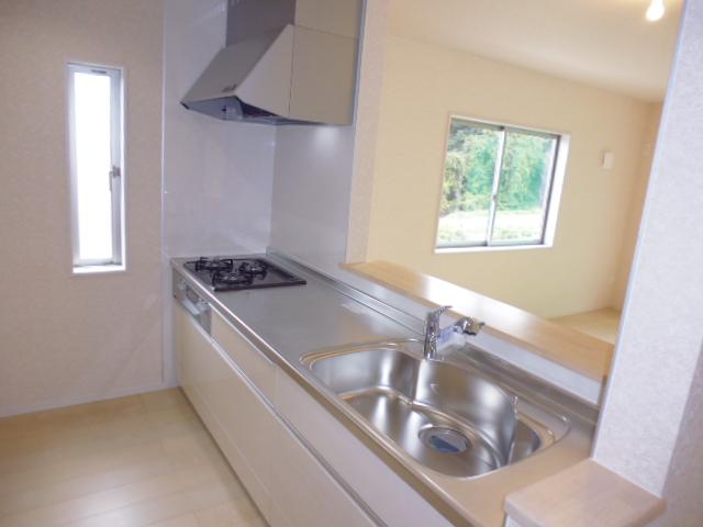 Kitchen. Indoor (11 May 2013) Shooting