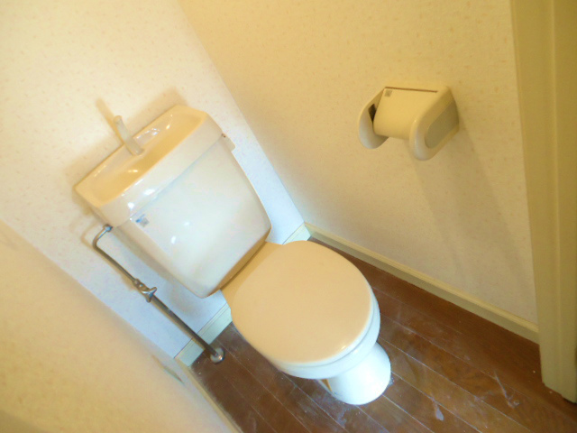 Other room space. It is a flush toilet