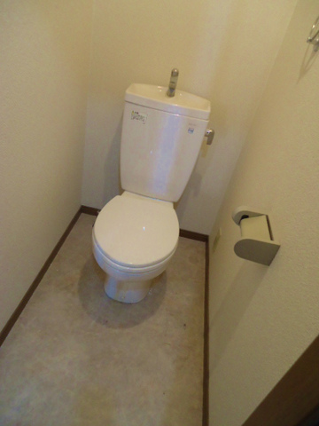 Other room space. It is a flush toilet