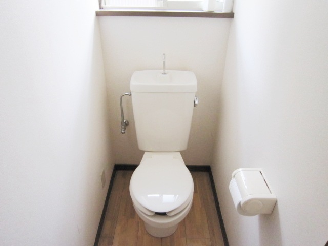 Toilet. Bright flush toilet with a window