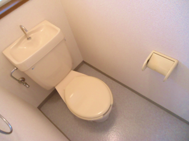 Other room space. It is a Western-style toilet independent type