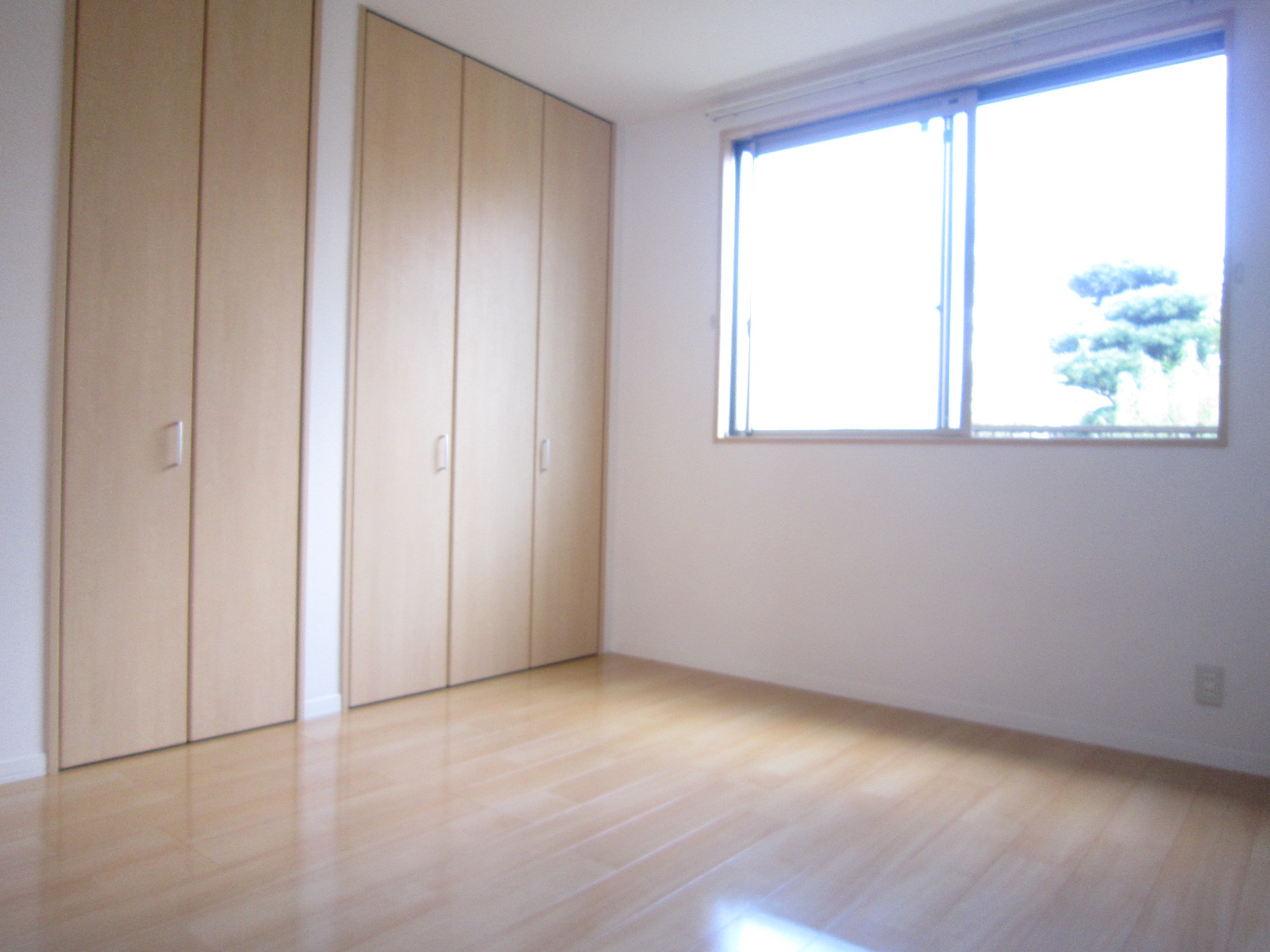 Other room space. The room is bright atmosphere.