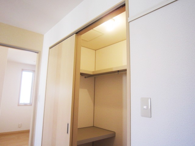 Other room space. Walk-in closet with a room. With lighting!