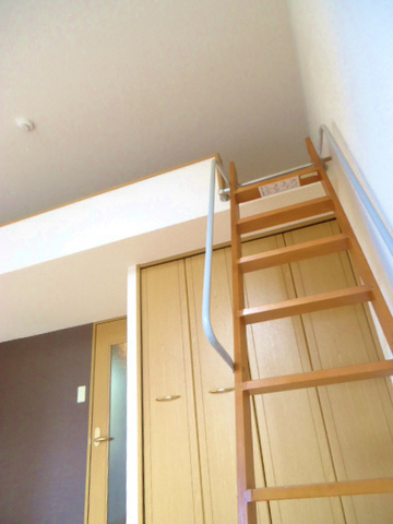 Other room space. It is with a ladder