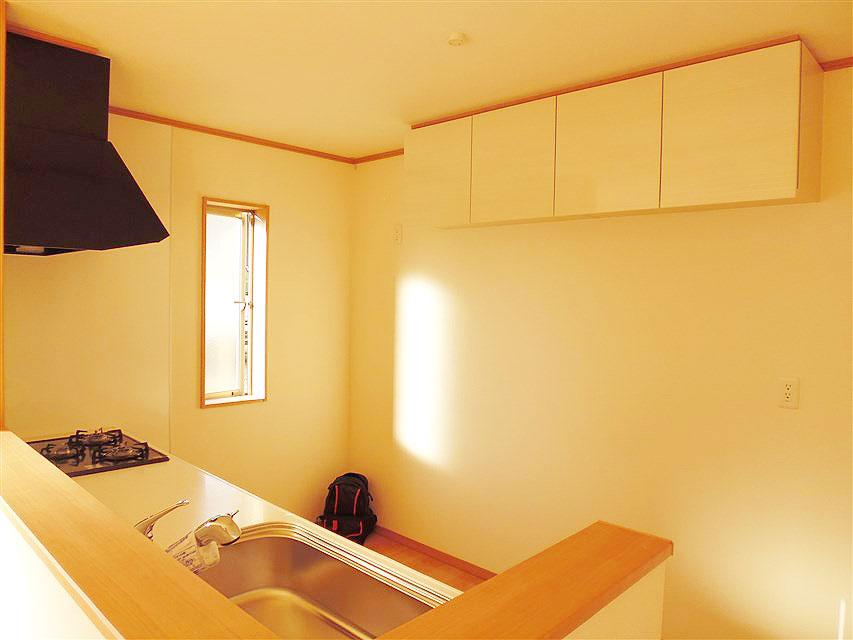 Kitchen. System kitchen