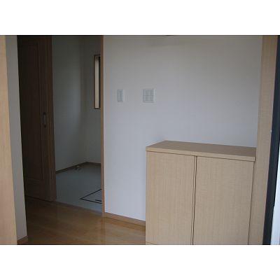 Entrance. I opened the front door, Storage of one wall is!