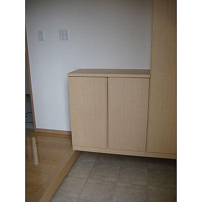 Entrance. The storage of opened the front door one wall!