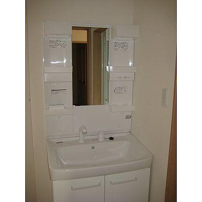 Wash basin, toilet. Vanity of independence!