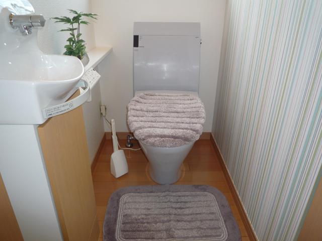 Toilet. Room (May 2013) Shooting