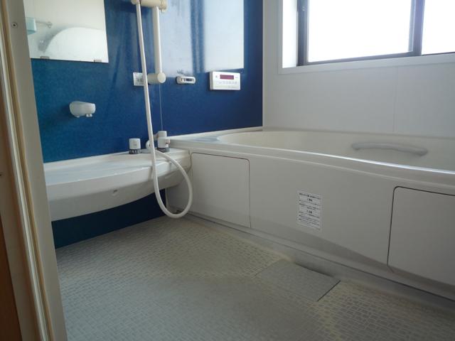 Bathroom. Room (May 2013) Shooting